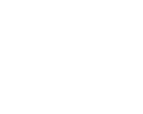 L'Artigiano della Pizza